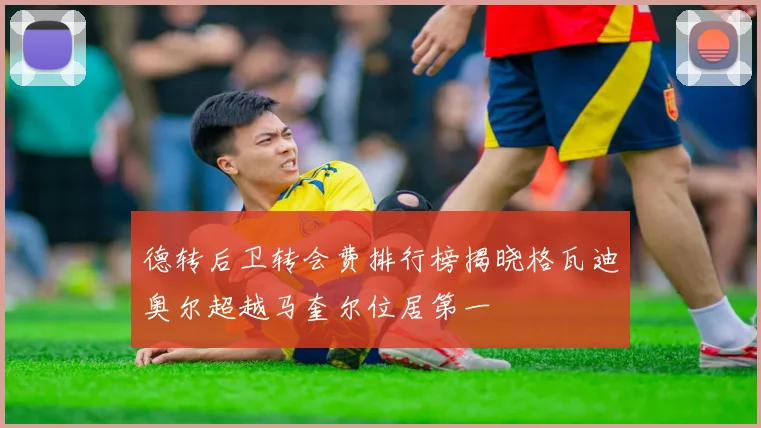 德转后卫转会费排行榜揭晓格瓦迪奥尔超越马奎尔位居第一